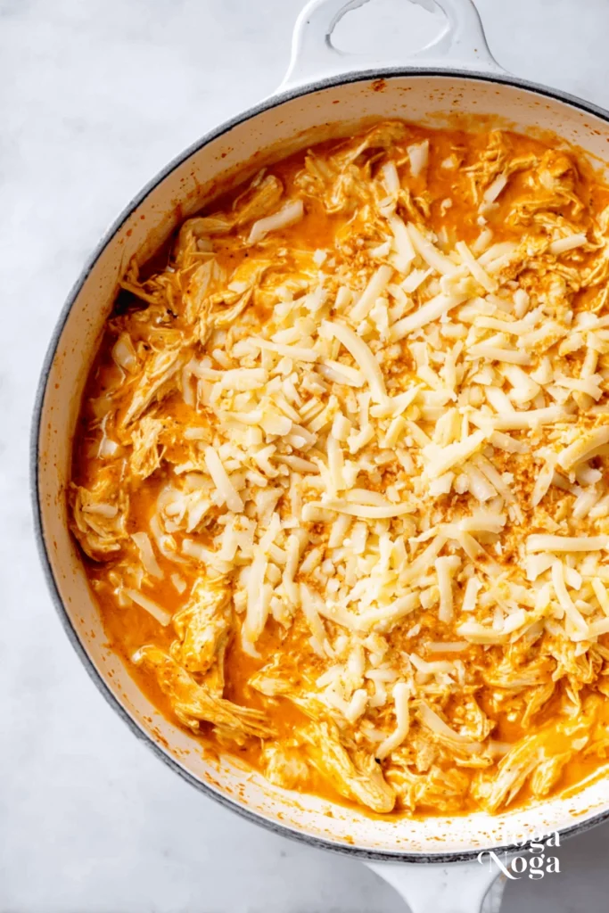 Cheesy Chicken Enchilada Dip-1